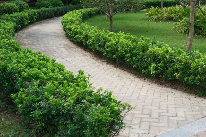 Elegant Paver Walkway
