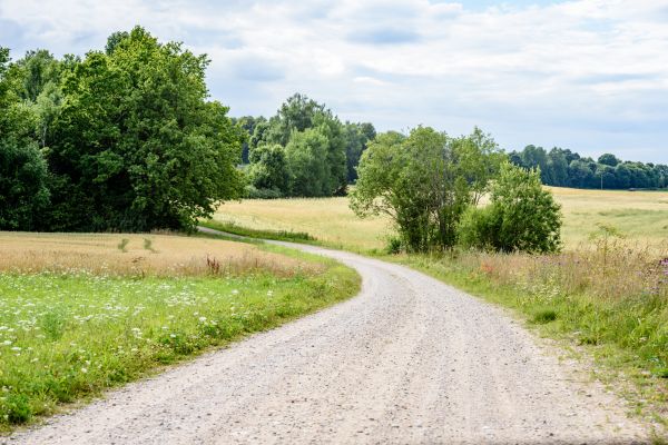 Stone Driveway Repair in Eagle