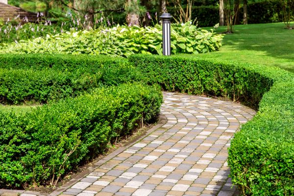 Paved Landscaping in Eagle
