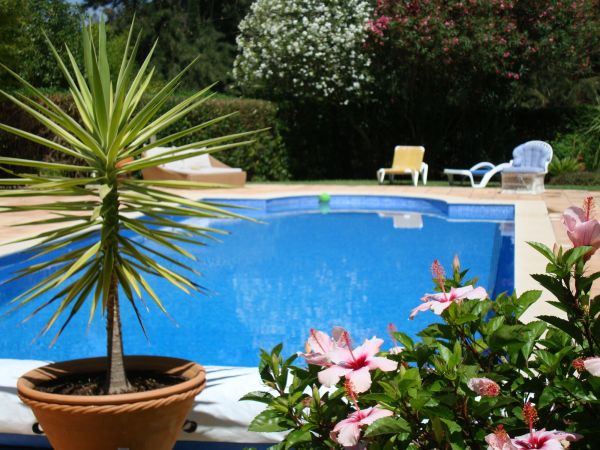 Pool Terrace Renovation in Eagle